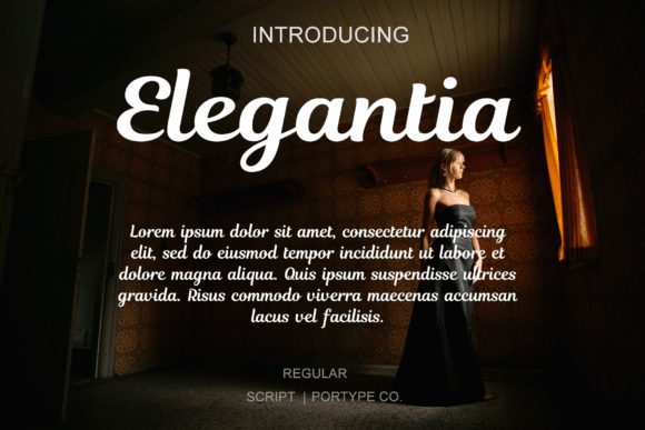 How Elegantia Brings Sophistication to Your Handmade Shop
