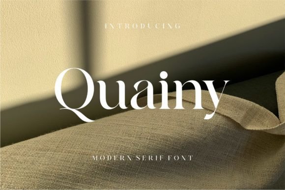 Quainy Serif: The Premium Typeface for Consistent Small Business Branding