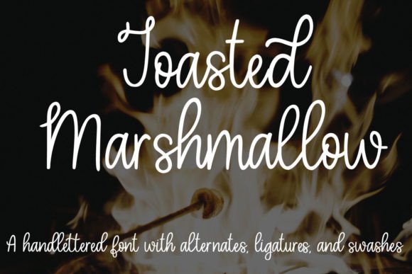 Reviewing Toasted Marshmallow: A Script Handwritten Font for Modern Brand Identity